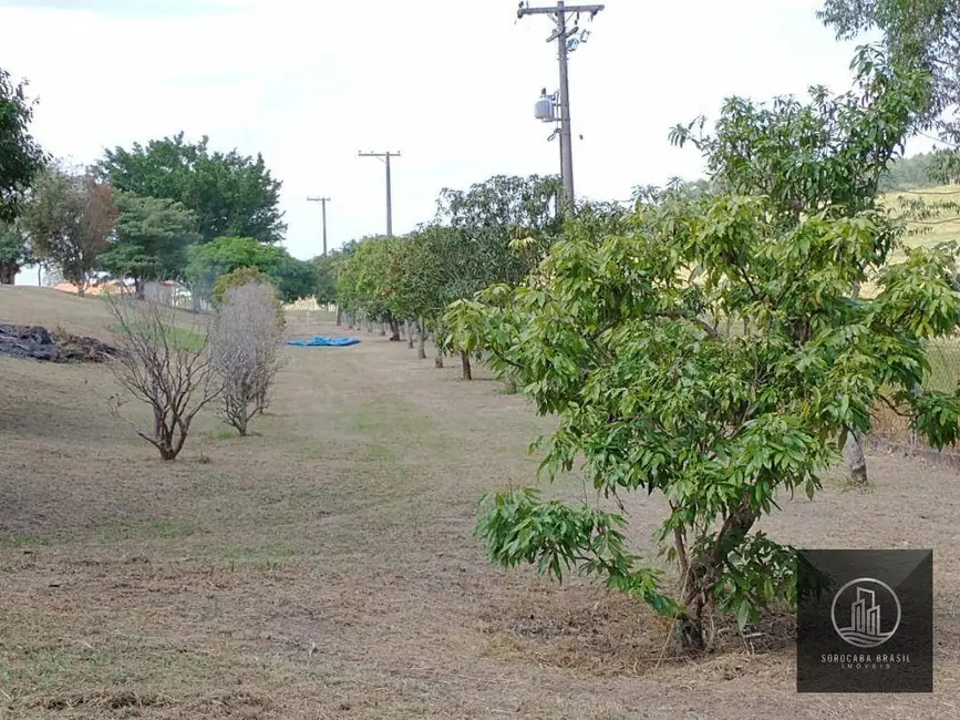 Fazenda / Haras à venda, 266200m2 em Sarapui - SP - imagem 3 Foto 3 de Fazenda / Haras à venda, 266200m2 em Sarapui - SP
