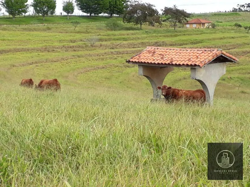 Fazenda / Haras à venda, 266200m2 em Sarapui - SP - imagem 4 Foto 4 de Fazenda / Haras à venda, 266200m2 em Sarapui - SP
