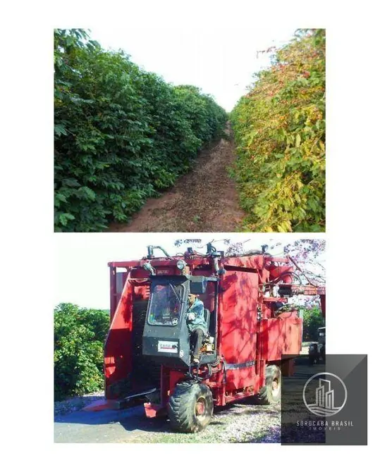 Foto 4 de Fazenda / Haras com 5 quartos à venda, 2352m2 em Garca - SP