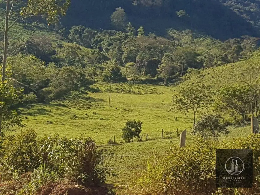 Foto 4 de Fazenda / Haras à venda, 202000m2 em Iporanga - SP