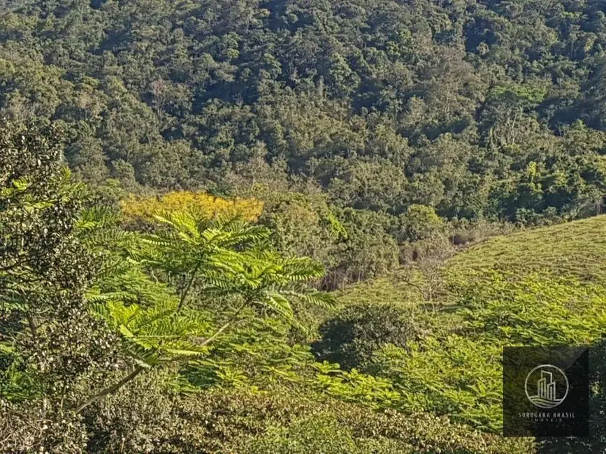 Foto 2 de Fazenda / Haras à venda, 202000m2 em Iporanga - SP