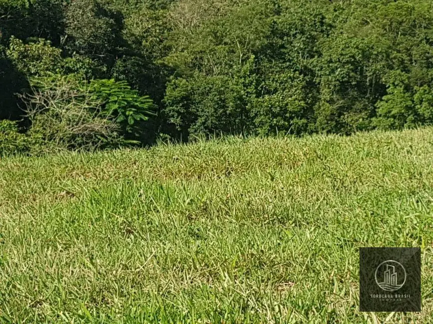 Foto 7 de Fazenda / Haras à venda, 202000m2 em Iporanga - SP