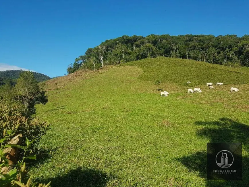 Foto 1 de Fazenda / Haras à venda, 202000m2 em Iporanga - SP