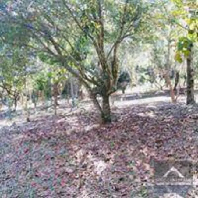 Terreno / Lote à venda, 1000m2 em Jardim Novo Mundo, Sorocaba - SP - imagem 5 Foto 5 de Terreno / Lote à venda, 1000m2 em Jardim Novo Mundo, Sorocaba - SP