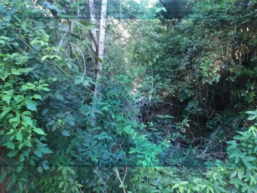 Chácara à venda em Guarapari - ES - imagem 5 Foto 5 de Chácara à venda em Guarapari - ES