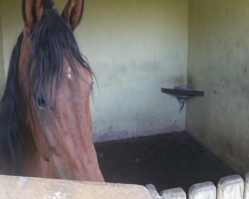 Foto 32 de Chácara à venda, 10000m2 em Guarapari - ES