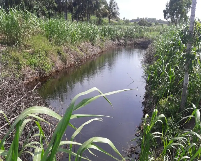 Foto 42 de Chácara à venda, 10000m2 em Guarapari - ES