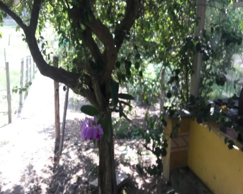 Foto 44 de Chácara à venda, 10000m2 em Guarapari - ES