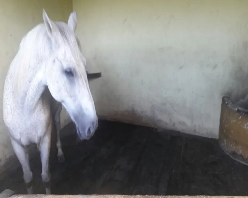 Foto 31 de Chácara à venda, 10000m2 em Guarapari - ES