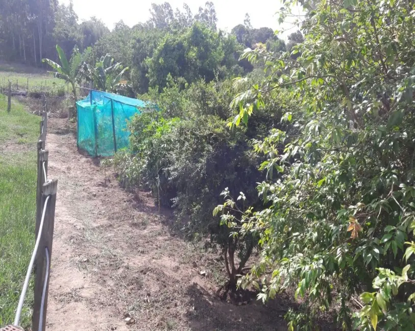 Foto 22 de Chácara à venda, 10000m2 em Guarapari - ES