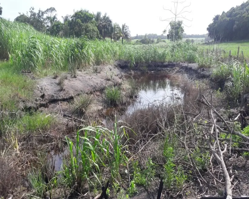 Foto 23 de Chácara à venda, 10000m2 em Guarapari - ES