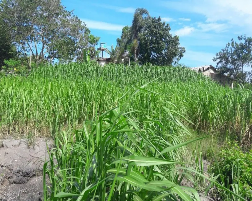 Foto 39 de Chácara à venda, 10000m2 em Guarapari - ES
