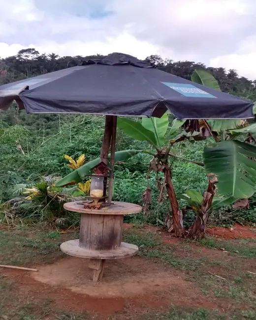 Foto 6 de Chácara à venda, 5000m2 em Buenos Aires, Guarapari - ES