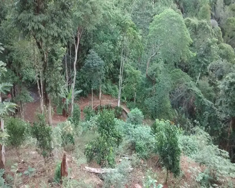 Foto 16 de Chácara à venda, 5000m2 em Buenos Aires, Guarapari - ES