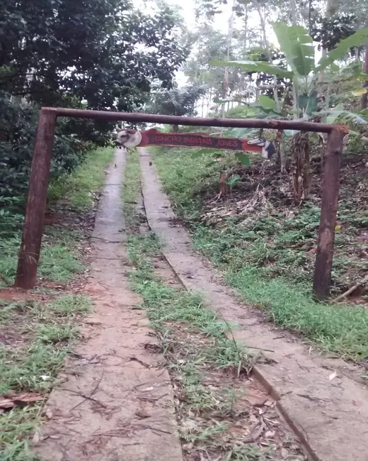 Foto 30 de Chácara à venda, 5000m2 em Buenos Aires, Guarapari - ES