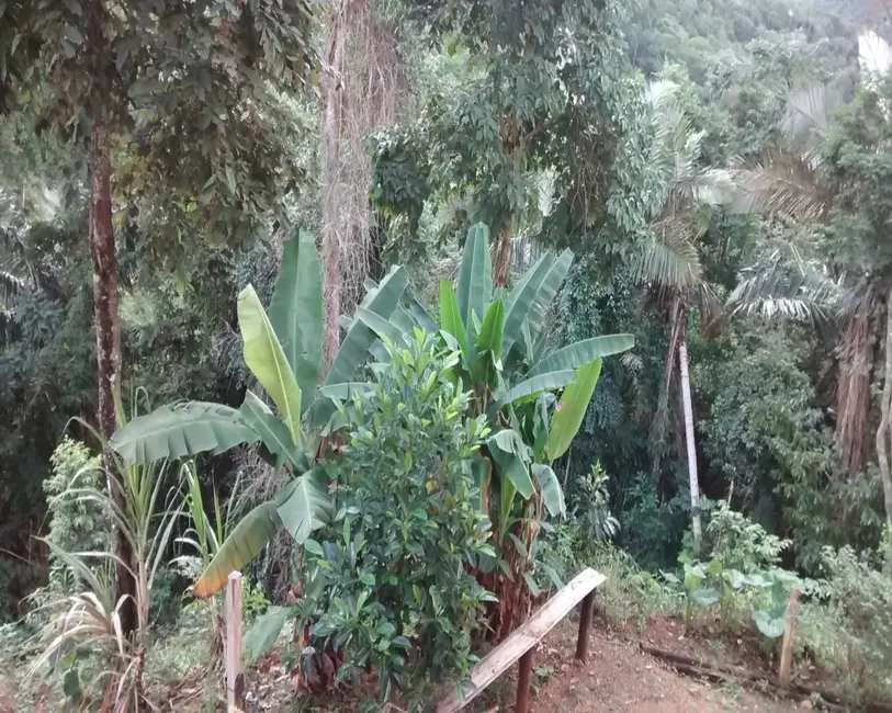 Foto 18 de Chácara à venda, 5000m2 em Buenos Aires, Guarapari - ES