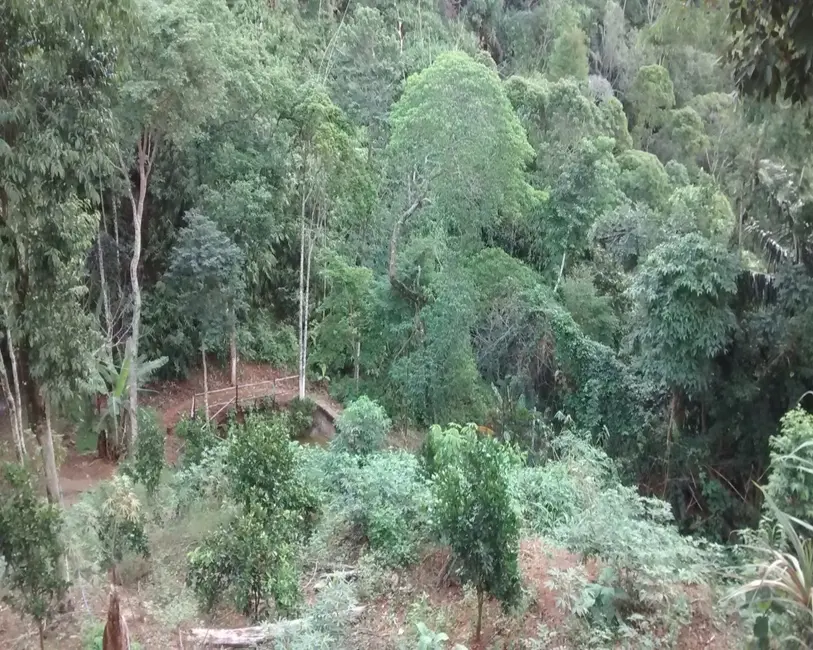 Foto 17 de Chácara à venda, 5000m2 em Buenos Aires, Guarapari - ES