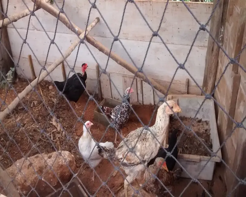 Foto 7 de Chácara à venda, 5000m2 em Buenos Aires, Guarapari - ES