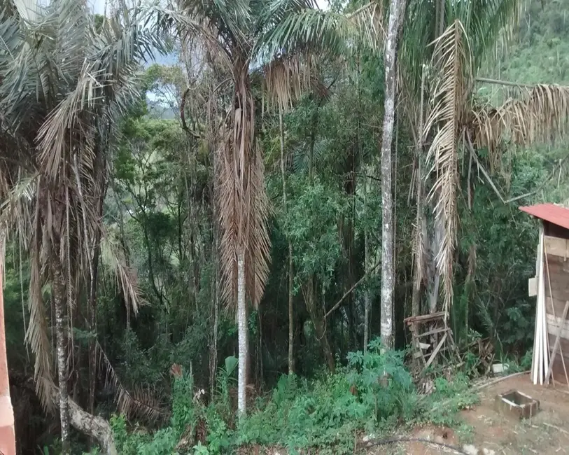 Foto 21 de Chácara à venda, 5000m2 em Buenos Aires, Guarapari - ES