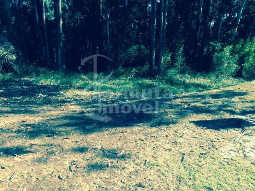 Foto 6 de Terreno / Lote à venda, 2509m2 em Alphaville Empresarial, Barueri - SP