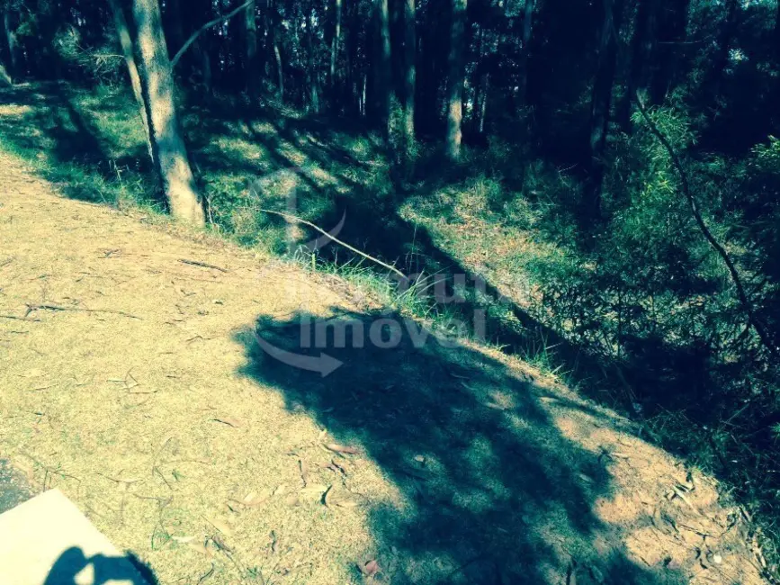 Foto 4 de Terreno / Lote à venda, 2509m2 em Alphaville Empresarial, Barueri - SP