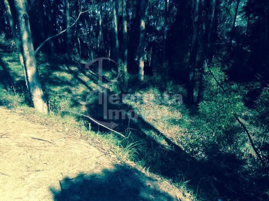 Foto 5 de Terreno / Lote à venda, 2509m2 em Alphaville Empresarial, Barueri - SP