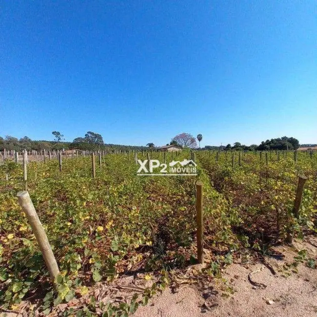 Foto 8 de Sítio / Rancho com 2 quartos à venda, 26000m2 em Parque da Grama, Indaiatuba - SP