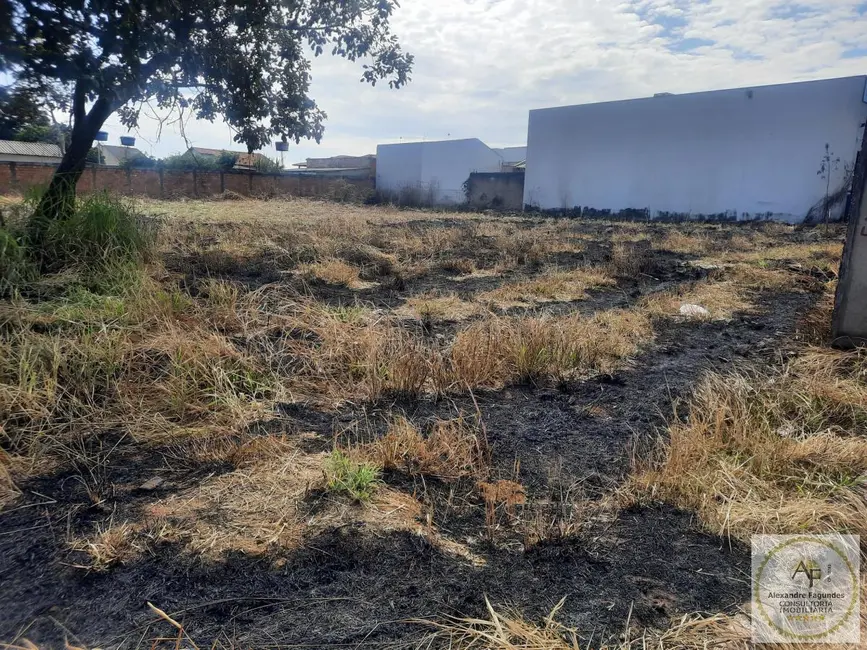 Foto 7 de Terreno / Lote à venda em Aparecida De Goiania - GO