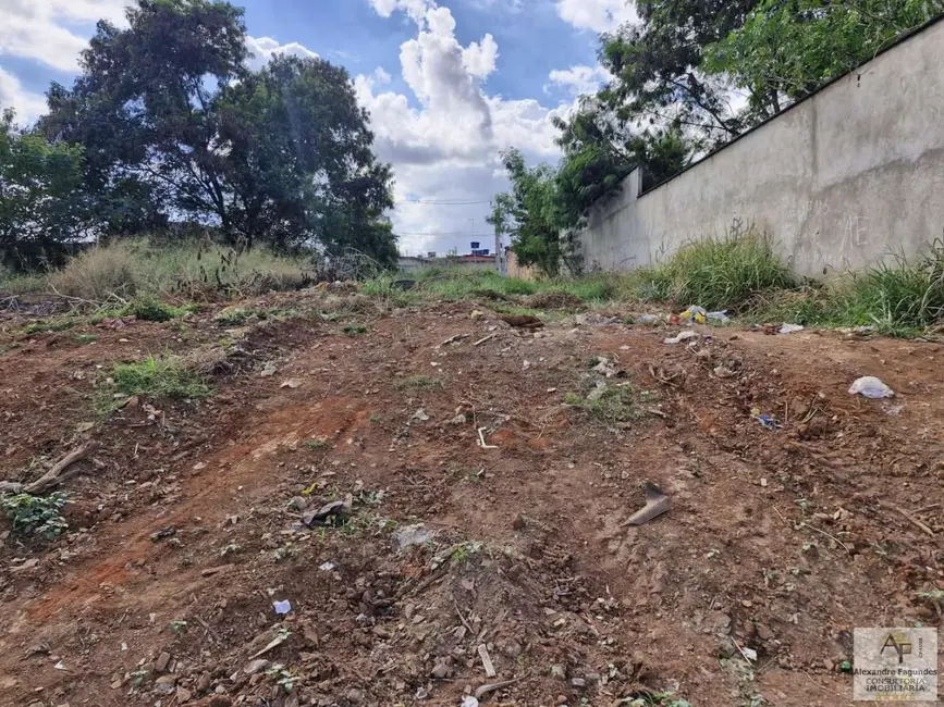 Terreno / Lote à venda em Aparecida De Goiania - GO - imagem 4 Foto 4 de Terreno / Lote à venda em Aparecida De Goiania - GO