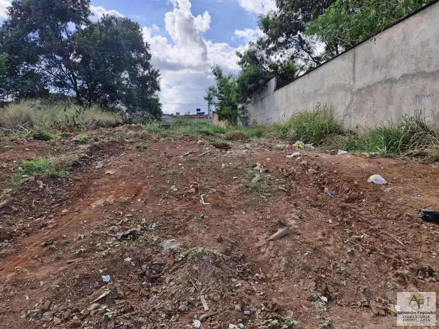 Terreno / Lote à venda em Aparecida De Goiania - GO - imagem 5 Foto 5 de Terreno / Lote à venda em Aparecida De Goiania - GO