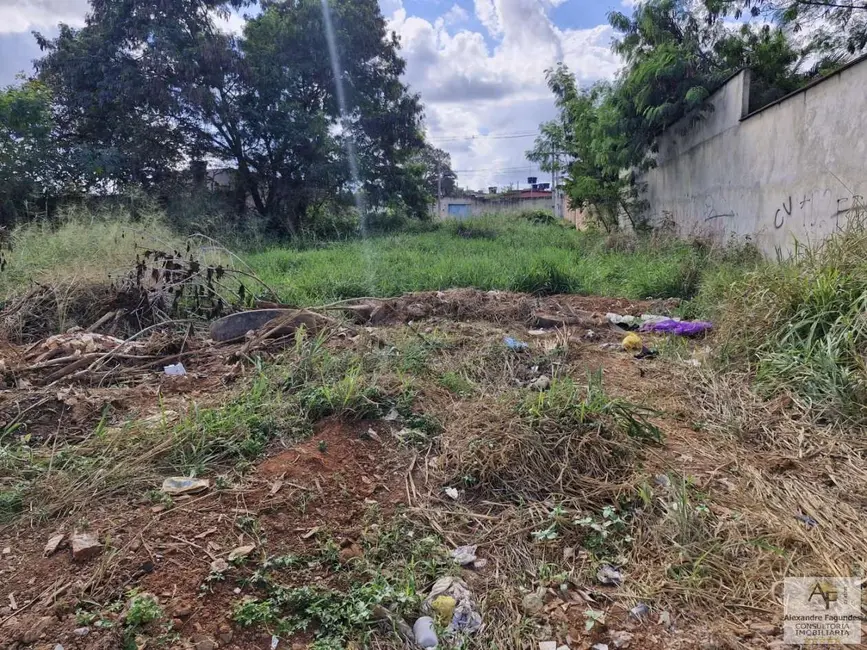 Terreno / Lote à venda em Aparecida De Goiania - GO - imagem 6 Foto 6 de Terreno / Lote à venda em Aparecida De Goiania - GO