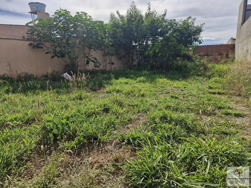 Foto 4 de Terreno / Lote à venda em Aparecida De Goiania - GO