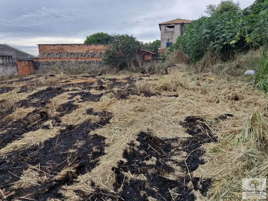 Foto 7 de Terreno / Lote à venda em Aparecida De Goiania - GO