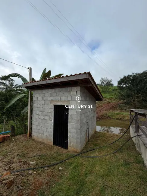 Foto 10 de Chácara à venda, 24m2 em Cacoal - RO