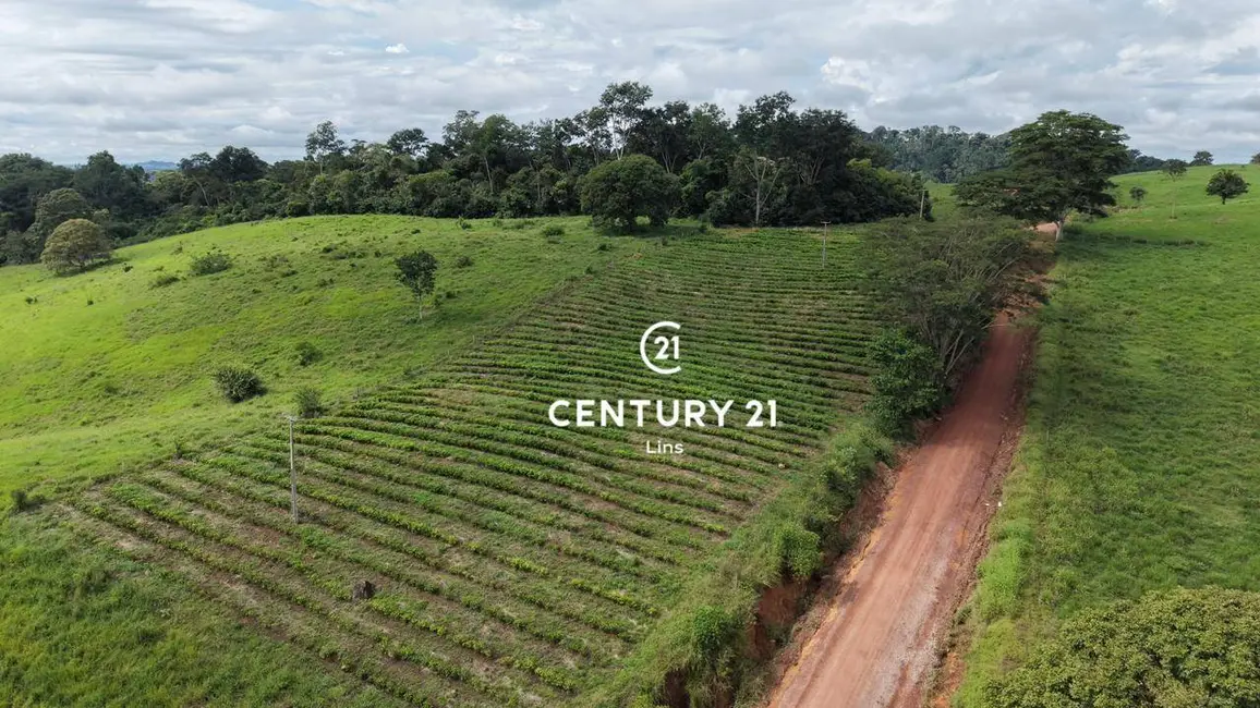 Foto 25 de Chácara à venda, 24m2 em Cacoal - RO