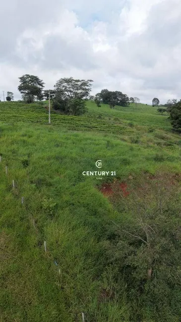 Foto 5 de Chácara à venda, 24m2 em Cacoal - RO