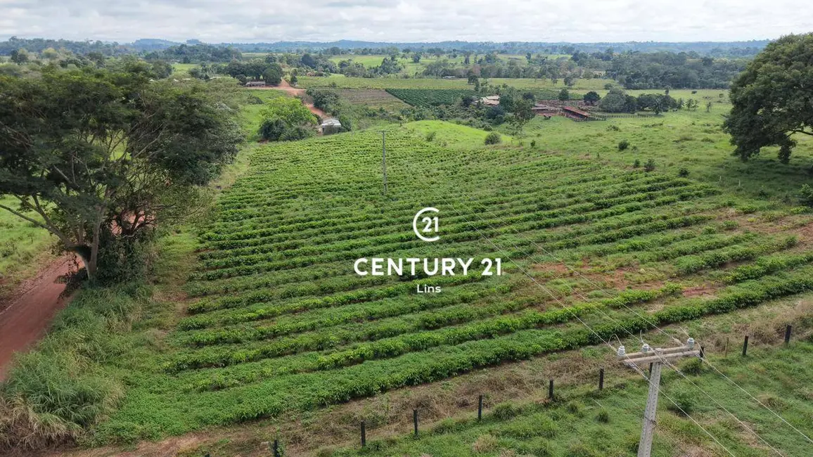 Foto 13 de Chácara à venda, 24m2 em Cacoal - RO