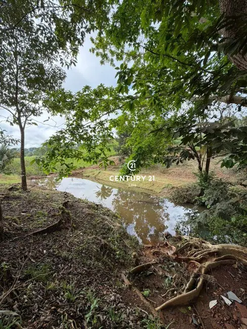 Foto 6 de Chácara à venda, 24m2 em Cacoal - RO