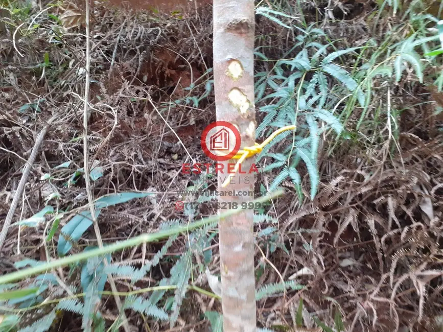 Foto 1 de Terreno / Lote à venda em Santa Branca - SP