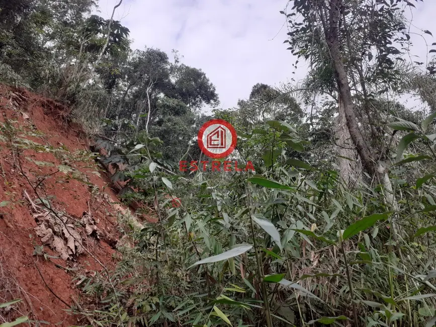 Foto 4 de Terreno / Lote à venda em Santa Branca - SP