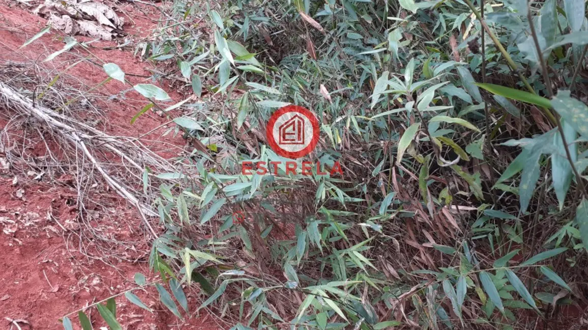 Foto 2 de Terreno / Lote à venda em Santa Branca - SP