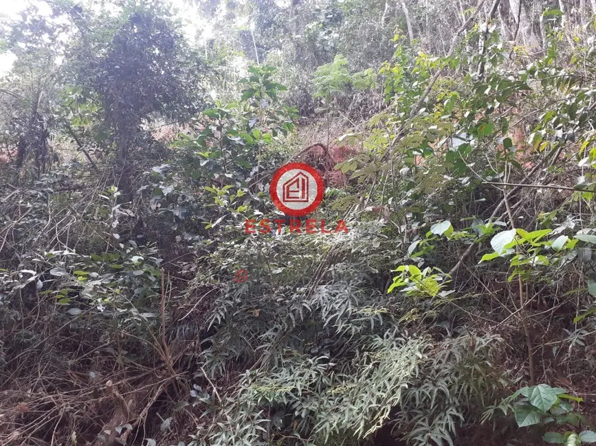 Foto 3 de Terreno / Lote à venda em Santa Branca - SP