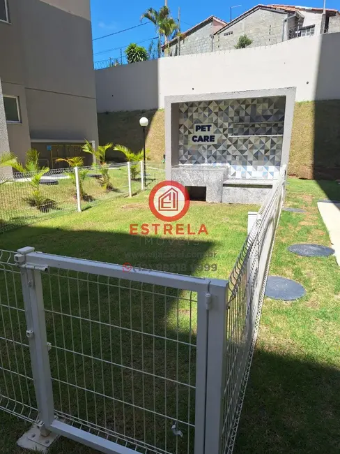 Apartamento com 2 quartos para alugar, 47m2 em Jardim Paraíso, Jacarei - SP - imagem 8 Foto 8 de Apartamento com 2 quartos para alugar, 47m2 em Jardim Paraíso, Jacarei - SP
