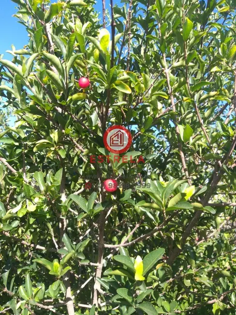 Foto 9 de Casa com 2 quartos à venda, 80m2 em Jardim Emília, Jacarei - SP