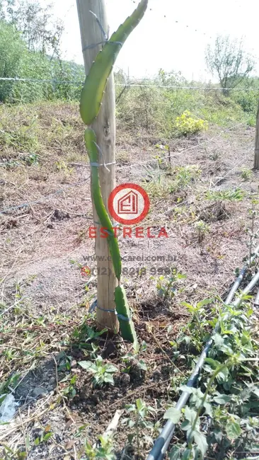 Foto 11 de Chácara à venda, 2000m2 em Chácara Itapoã, Jacarei - SP