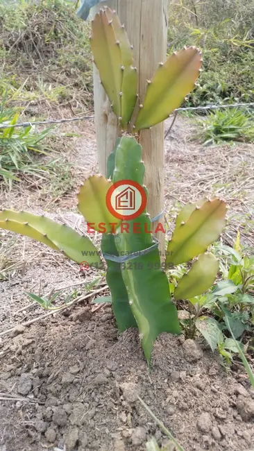 Foto 13 de Chácara à venda, 2000m2 em Chácara Itapoã, Jacarei - SP