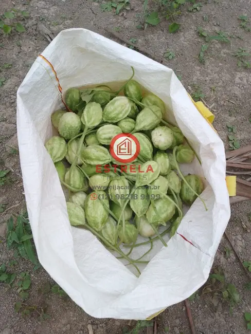 Foto 16 de Chácara à venda, 2000m2 em Chácara Itapoã, Jacarei - SP