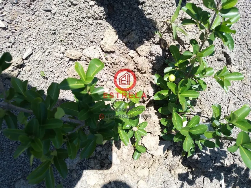 Foto 24 de Chácara à venda, 2000m2 em Chácara Itapoã, Jacarei - SP