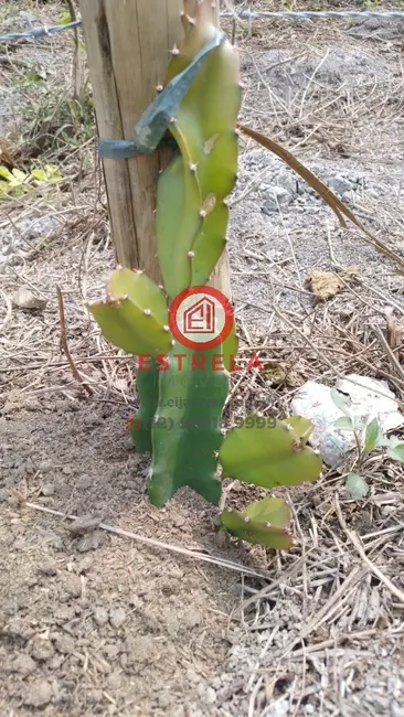 Foto 14 de Chácara à venda, 2000m2 em Chácara Itapoã, Jacarei - SP