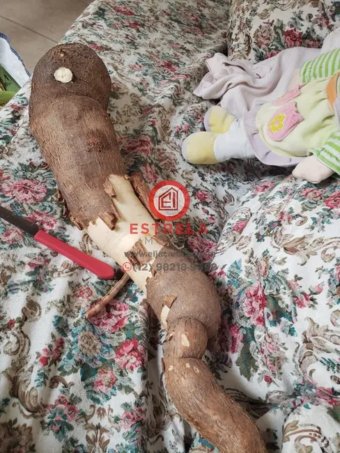 Foto 39 de Chácara à venda, 2000m2 em Chácara Itapoã, Jacarei - SP